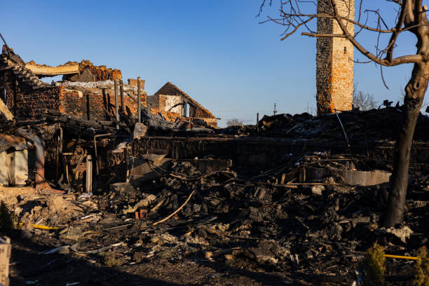 Reliable Fire Damage Removal contractor in Green Isle, MN by Fire Damage Flint